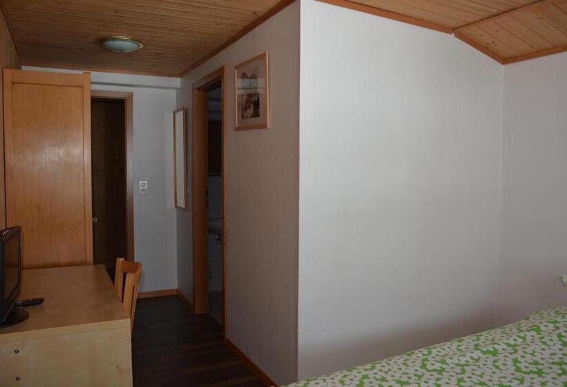 חדר סטנדרט יחיד, Restaurant Walliser Sonne