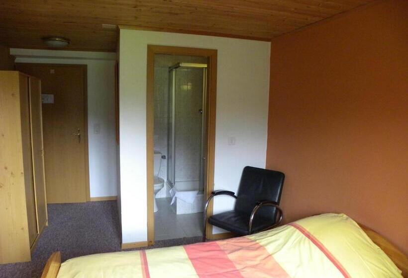 חדר סטנדרט יחיד, Restaurant Walliser Sonne