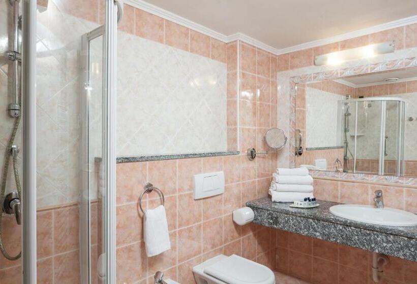 エコノミールーム, Savoy Palace   Tonellihotels