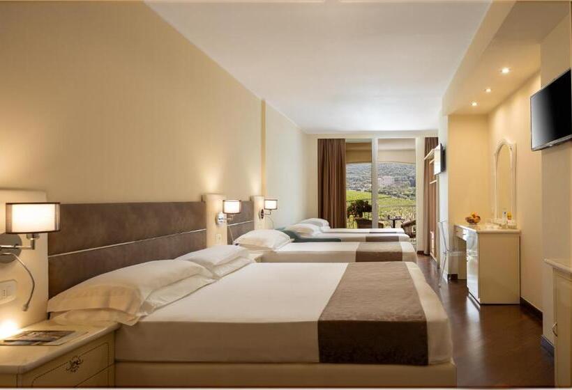 スタンダード5人部屋, Savoy Palace   Tonellihotels