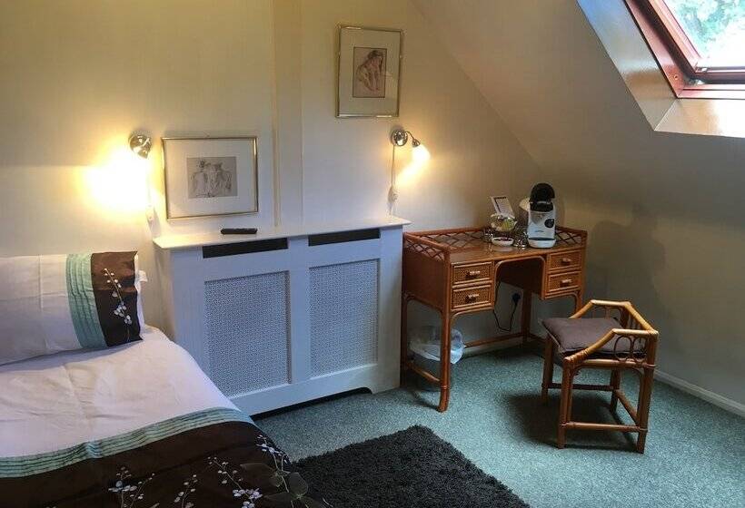 스탠다드 싱글 룸, The Folly