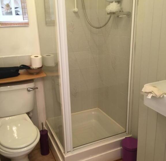 스탠다드 룸, The Folly