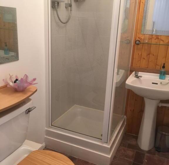 스탠다드 싱글 룸, The Folly