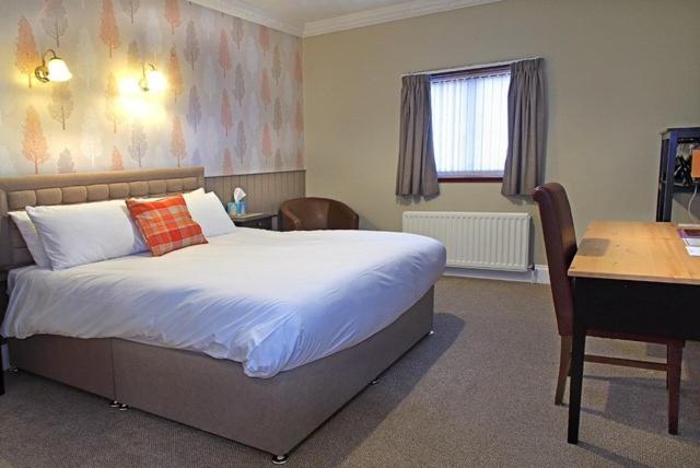 חדר סטנדרט, The Marine