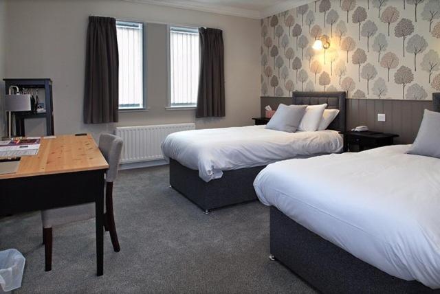 חדר סטנדרט, The Marine