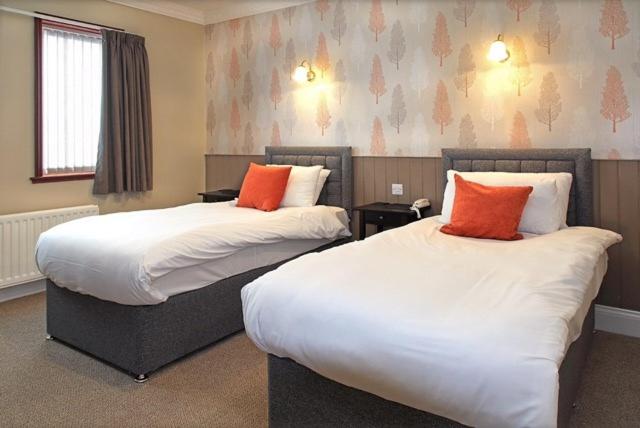 חדר סטנדרט, The Marine