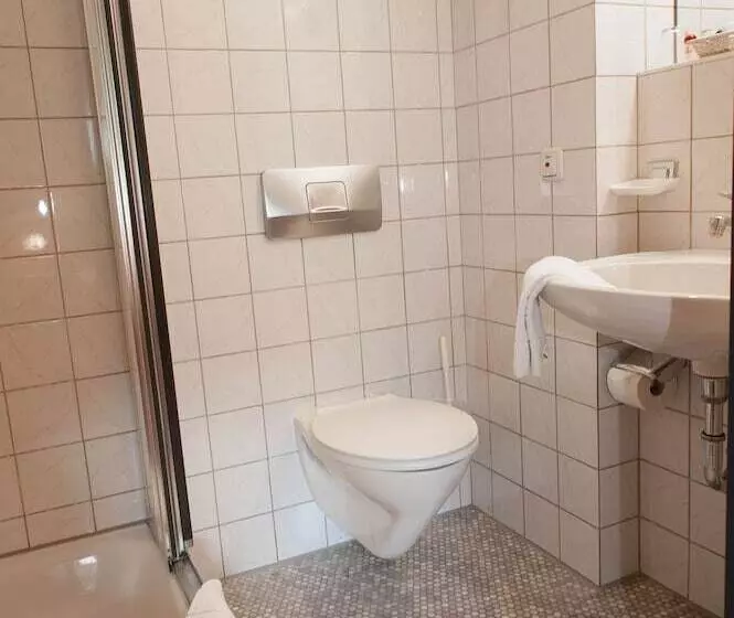 اتاق راحتی یک تخته, Parkhotel Bad Faulenbach