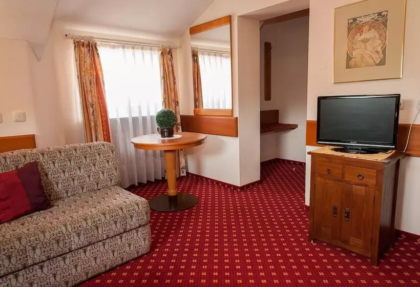 اتاق راحتی یک تخته, Parkhotel Bad Faulenbach