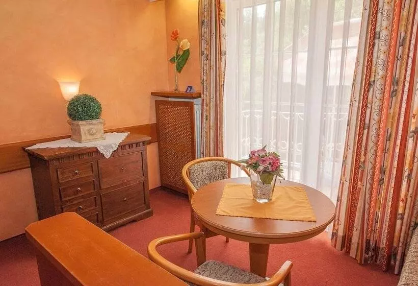 اتاق راحتی, Parkhotel Bad Faulenbach