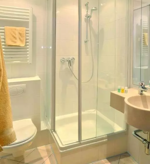 اتاق استاندارد یک نفره, Gasthof Deutscher Adler Und Hotel Puchtler