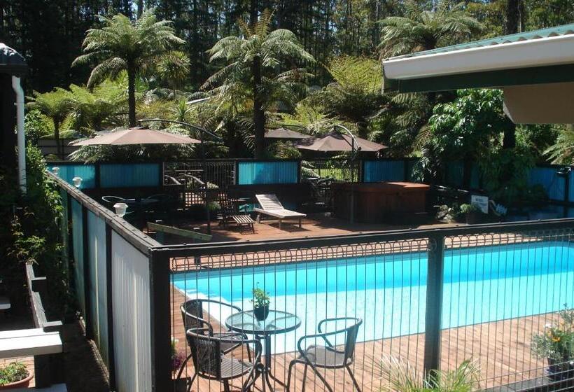 اتاق استاندارد با سرویس بهداشتی مشترک, Woodlands Motel