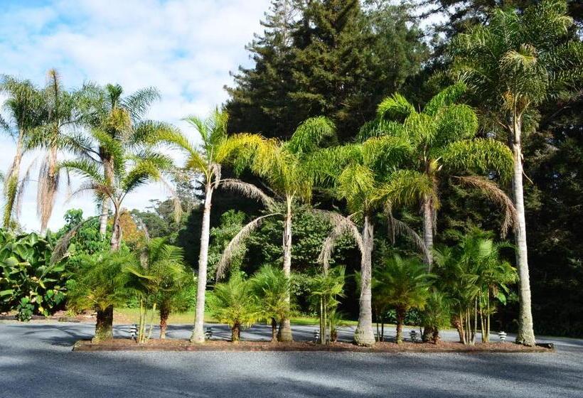 استودیو اجرایی, Woodlands Motel