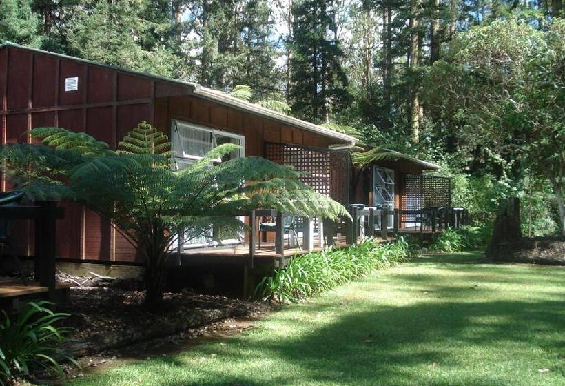 Студио Executive, Woodlands Motel