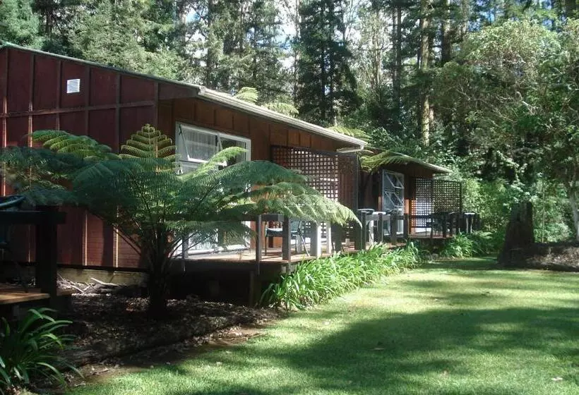 استودیو اجرایی, Woodlands Motel