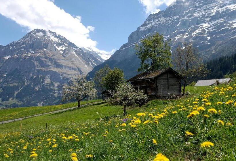 Номер Стандарт, Aspen Alpine Lifestyle