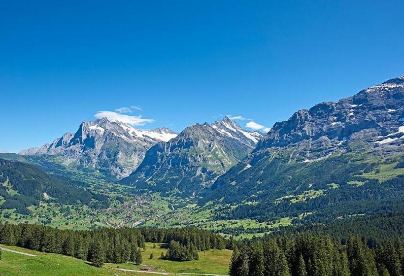 豪华两卧套房, Aspen Alpine Lifestyle