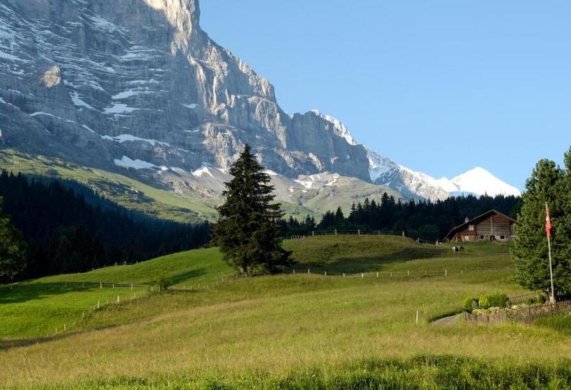 豪华两卧套房, Aspen Alpine Lifestyle