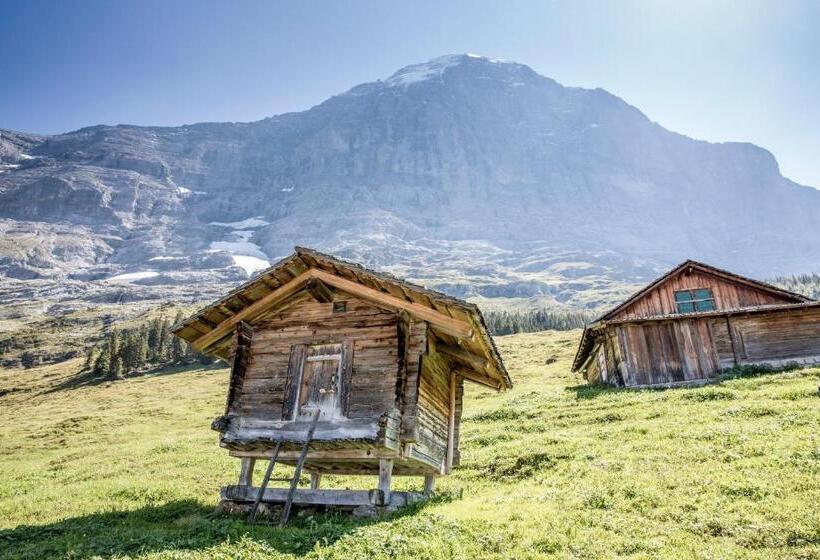 带风景豪华套房, Aspen Alpine Lifestyle