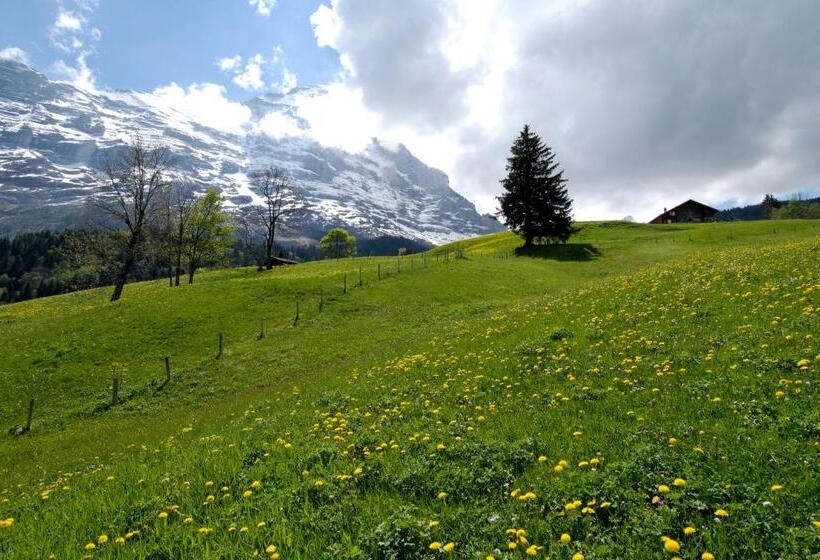 سوئیت دولوکس با چشم‌انداز, Aspen Alpine Lifestyle