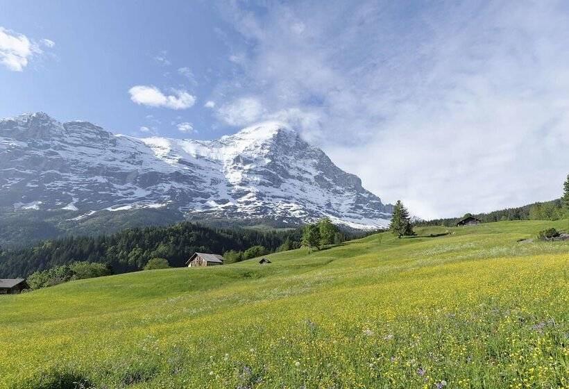 标准间, Aspen Alpine Lifestyle