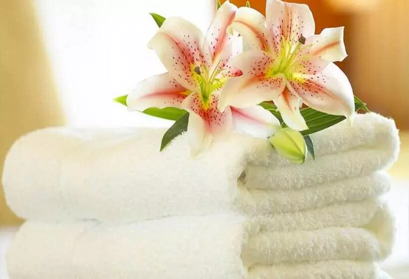 اتاق سوپریور چهار تخته, Bembo