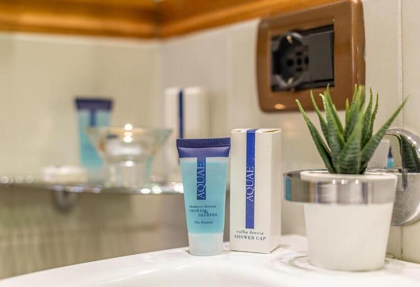 اتاق کلاسیک با چشمانداز شهر, Castel Gandolfo