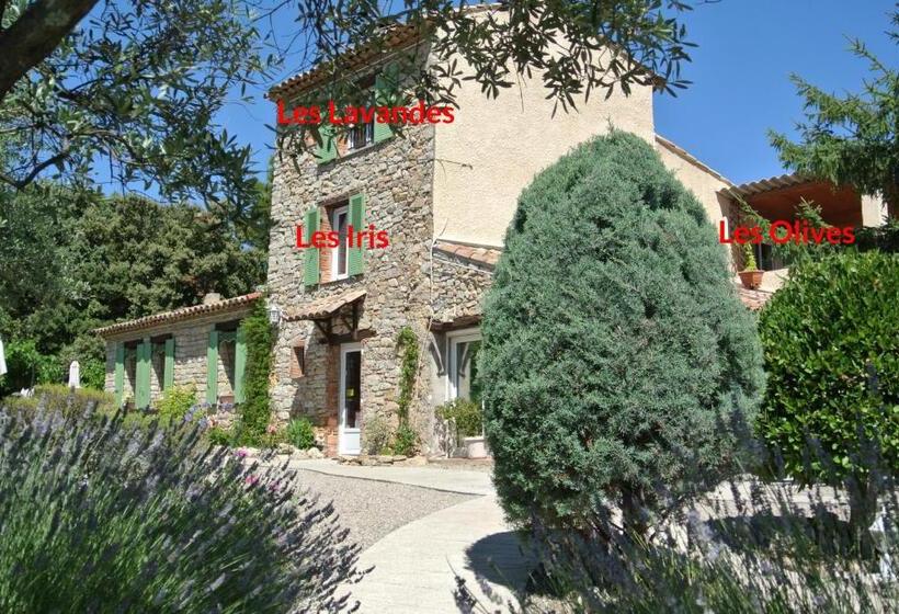 Номер Стандарт с Террасой, La Vieille Bastide