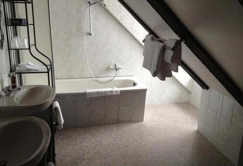 Апартаменты 1 Спальня, Parkhotel Helmstedt