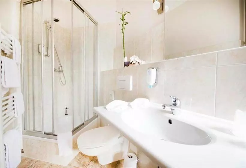Standard Yhden Hengen Huone, Parkhotel Helmstedt