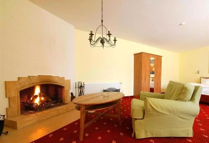 Standard Kolmen Hengen Huone, Parkhotel Helmstedt