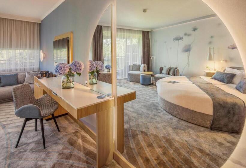 اتاق استاندارد, Spirit Hotel Thermal Spa