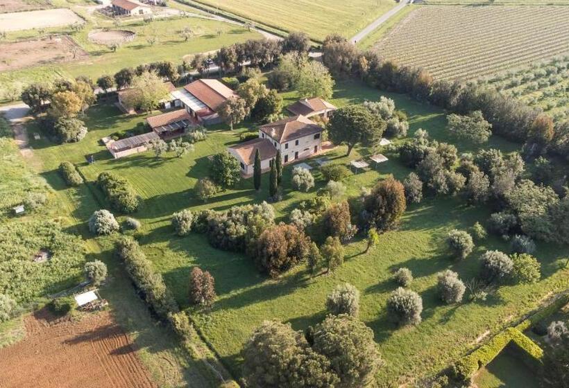 身障者適用スタンダードルーム, Tenuta Agricola Dell Uccellina