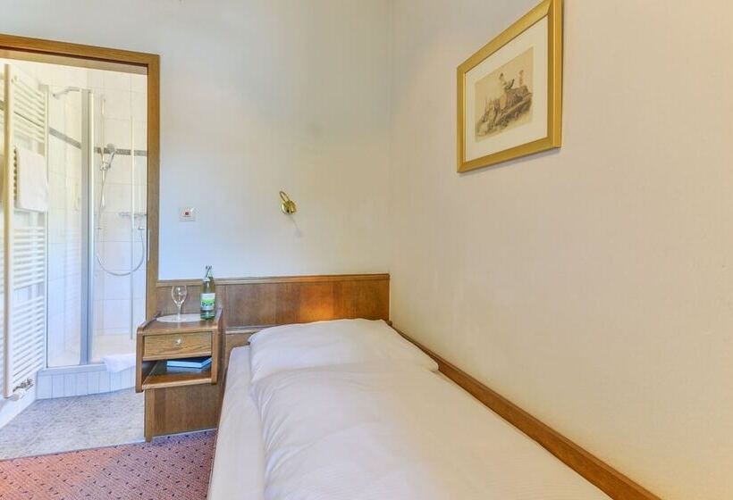 スタンダードシングルルーム, Zur Mühle