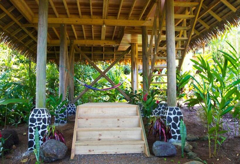 اتاق استاندارد, Copa De Arbol Beach & Rainforest Resort