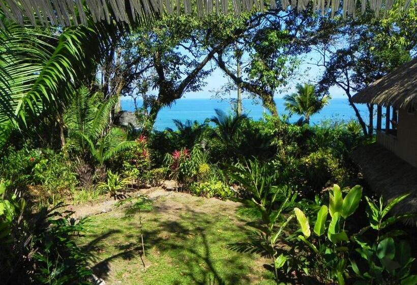 اتاق استاندارد, Copa De Arbol Beach & Rainforest Resort