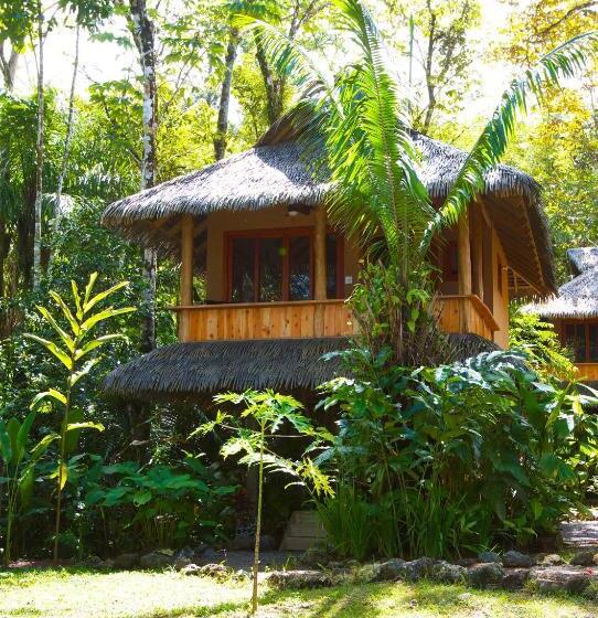 اتاق استاندارد, Copa De Arbol Beach & Rainforest Resort