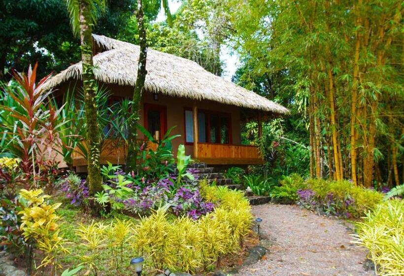 اتاق استاندارد, Copa De Arbol Beach & Rainforest Resort