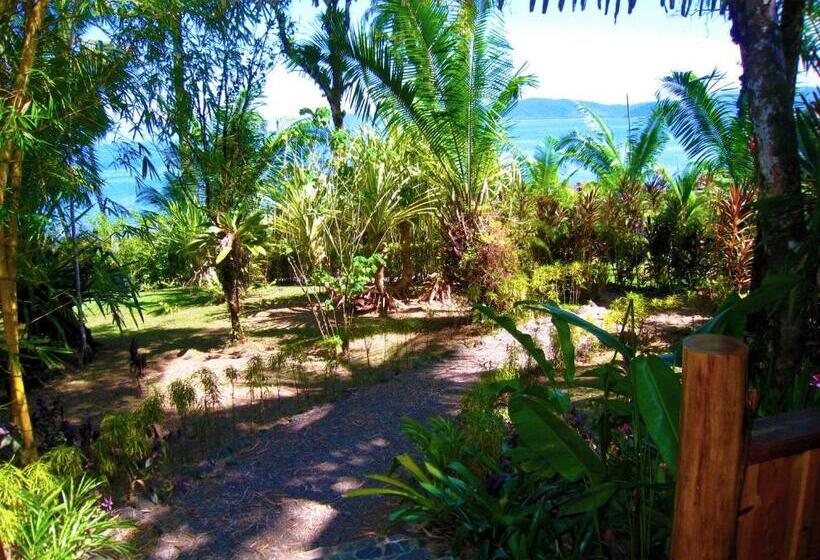 اتاق استاندارد, Copa De Arbol Beach & Rainforest Resort