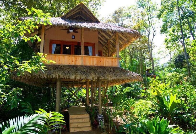 اتاق استاندارد, Copa De Arbol Beach & Rainforest Resort