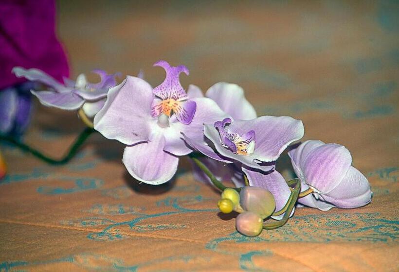 Номер Стандарт Трехместный, Filippeschi