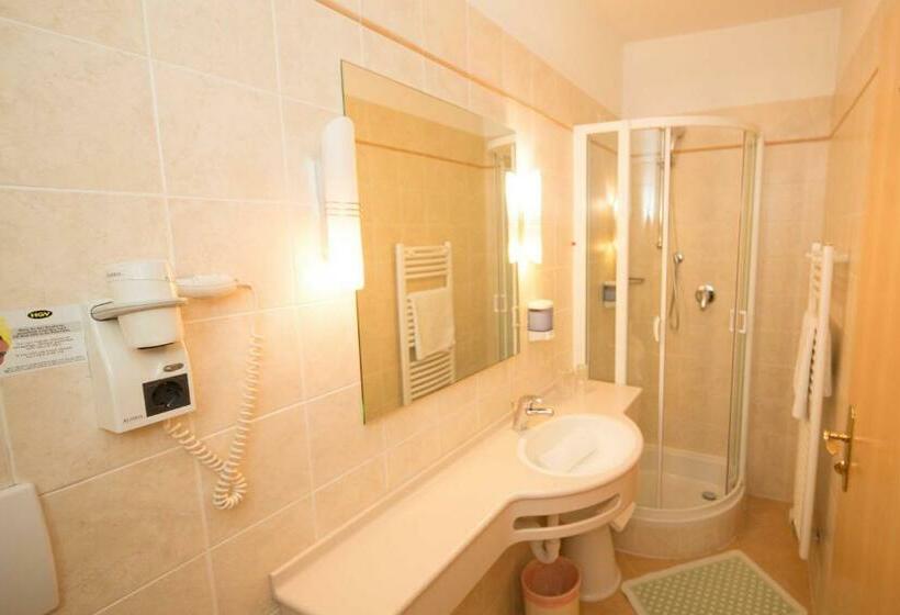 Номер Стандарт, Goldenes Roessl Adults Only