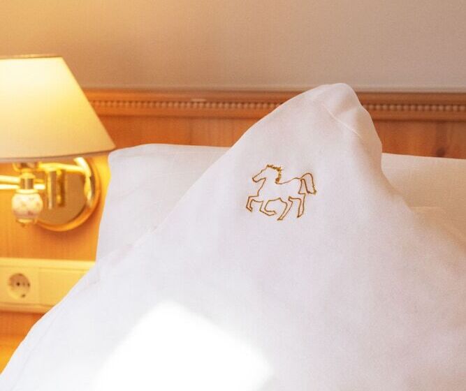 חדר סופריור עם מרפסת, Goldenes Roessl Adults Only