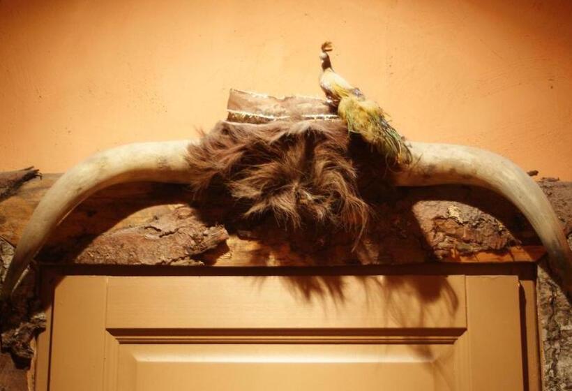 スタンダードルーム, Demeure De Digoine Chambre D Hotes