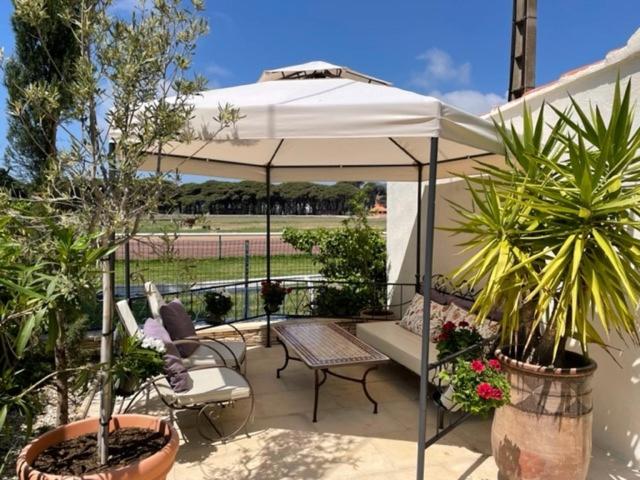 带露台的高档房间, Le Mediterranee