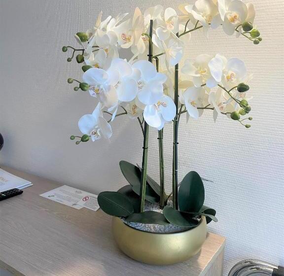 带露台的高档房间, Le Mediterranee