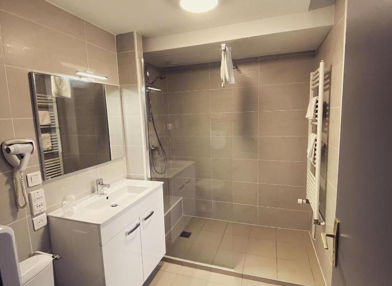 غرفة سوبيريور, Hôtel Restaurant Le Parc