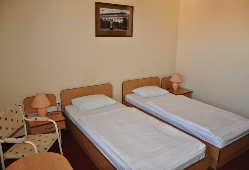 غرفة قياسية, Platan