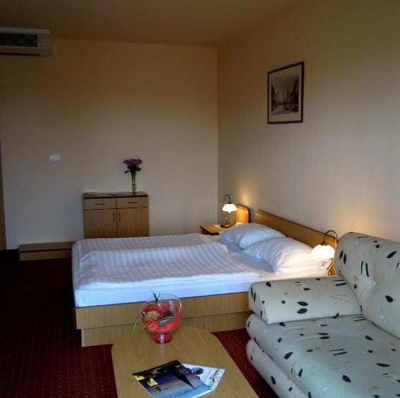 غرفة سوبيريور, Platan