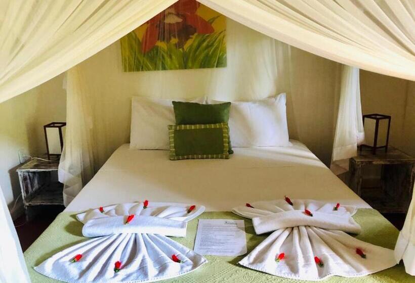 舒适套房, Pousada Jardim Das Margaridas