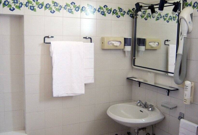 Quarto Estandar Individual, Reale